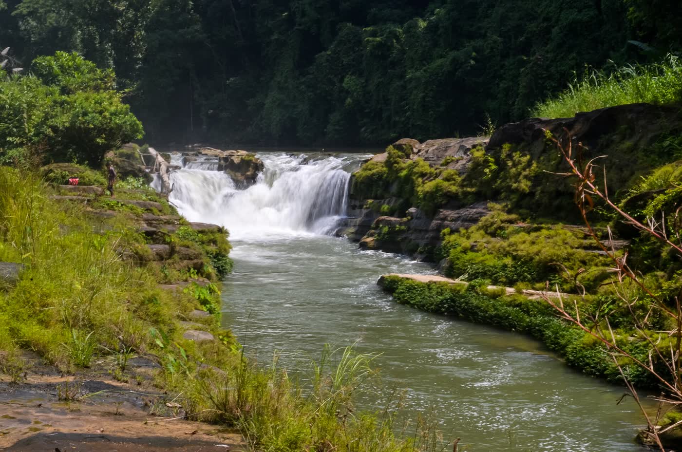 A waterfall dropping into a rock pool in dense green